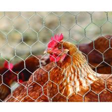 Protection volaille élevage Soissons